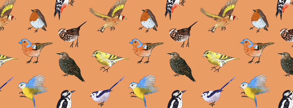 British Bird pattern sarah cochrane website