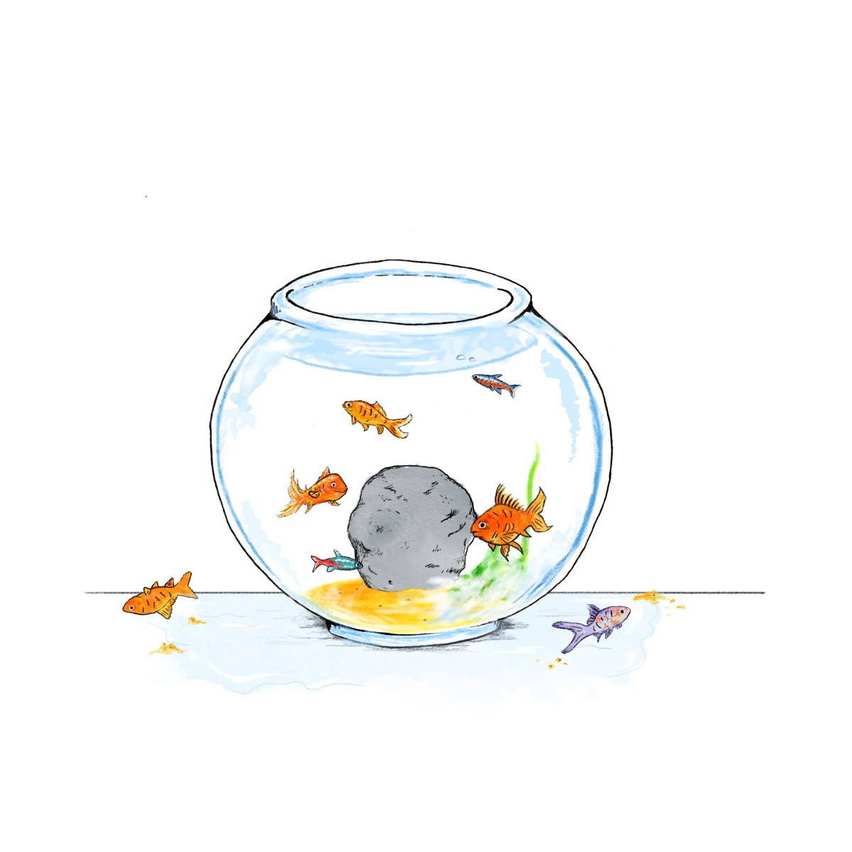 Fish bowl illustration 2
